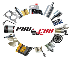 Centro de Servicio Pro Car