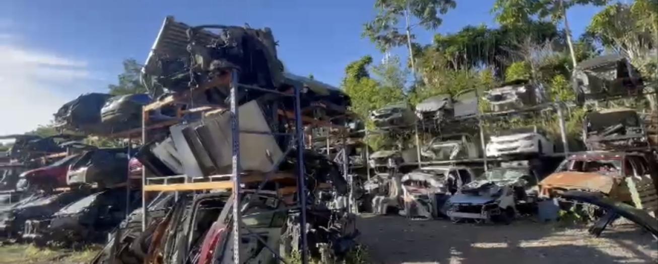 OIJ desarticulada banda vinculada con robo de vehículos y legitimación de capitales 