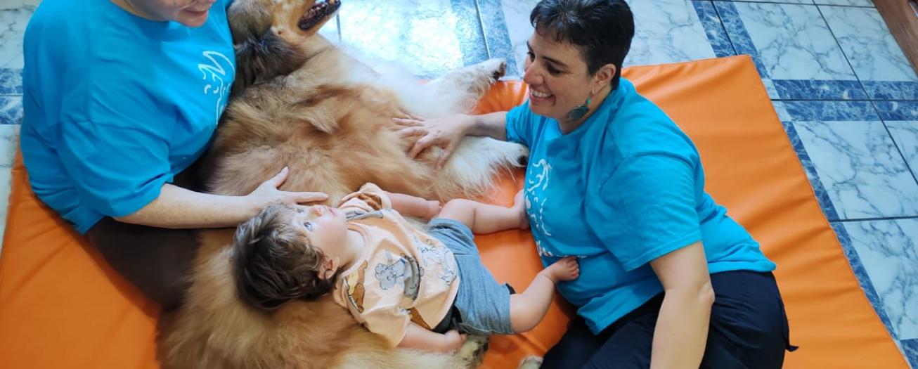Perros terapistas transforman la vida de personas con enfermedades y discapacidad