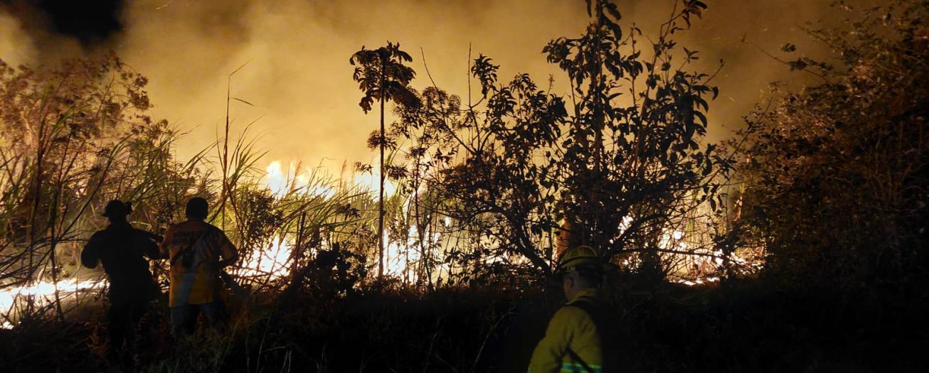 Incendio de cañal en Puente Piedra puso en peligro infraestructura comunal